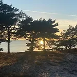 Oasis Of Nature