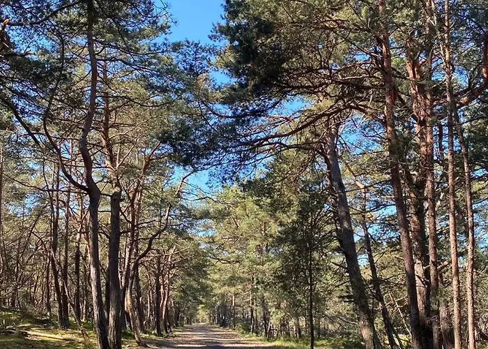 Apartamento Oasis Of Nature *